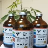 1% Ivermectin Injection 100ml for horse