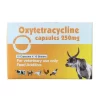 Veterinary Pig Anti-Inflammatory Oxytetracycline Capsules