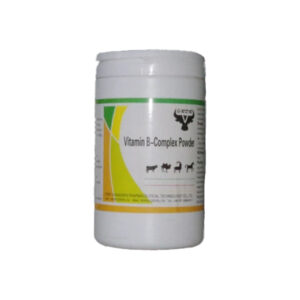 Nutritional Vitamin B-Complex Powder