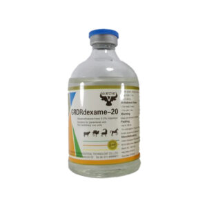 Dexamethasone injection 0.2%